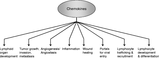 The Irresistible Ccl17 >> Chemokines And Their Receptors In Oral Cancer Metastasis Springerlink The Irresistible Ccl17 >> Chemokines And Their Receptors In Oral Cancer Metastasis Springerlink
