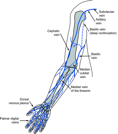 MRA: Upper Extremity and Hand Vessels | SpringerLink