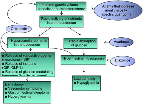 Diagnosis And Treatment Of Dumping Syndrome After Gastric Bypass For Morbid Obesity Springerlink