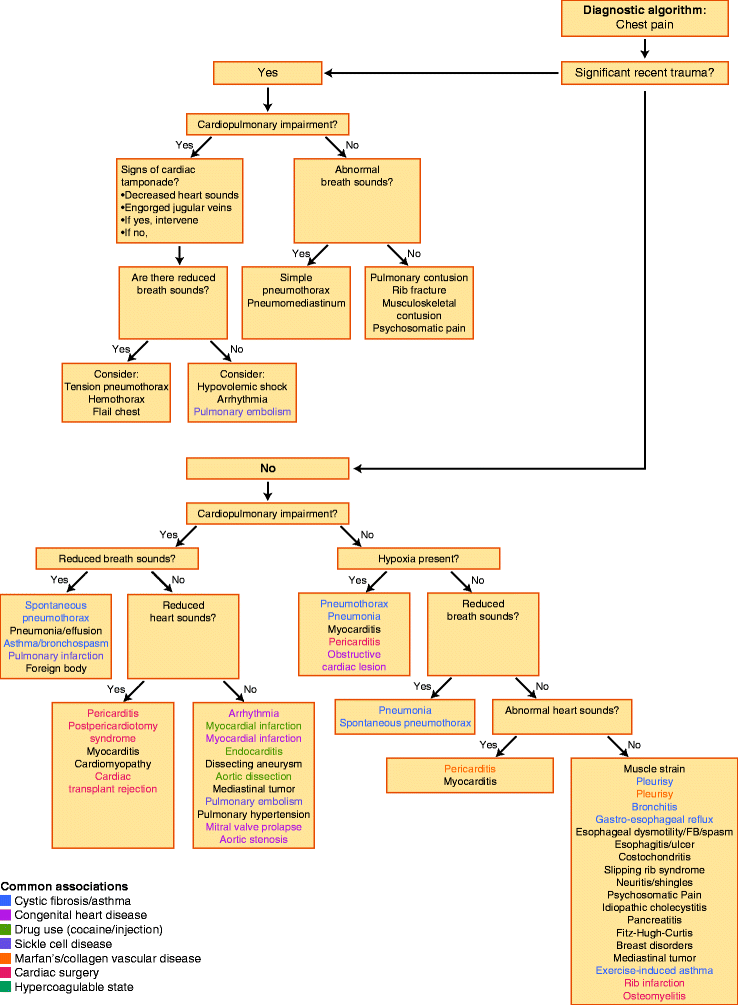 Clinical Algorithms | SpringerLink