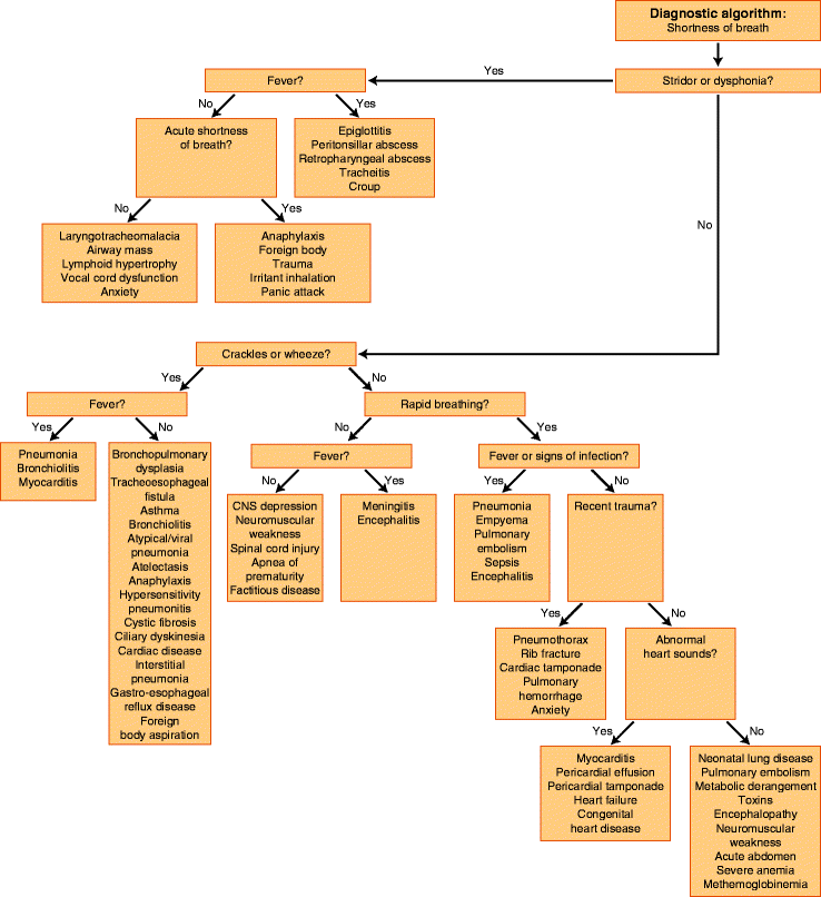 Clinical Algorithms | SpringerLink
