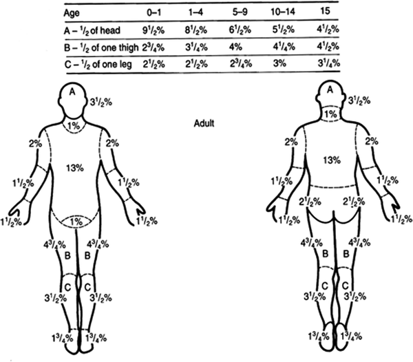 Lund And Browder Chart Pdf