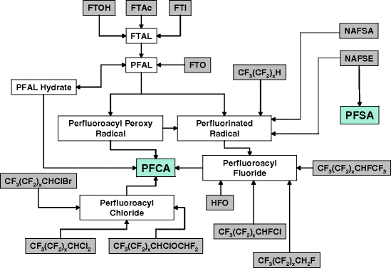 Atmospheric Perfluorinated Acid Precursors: Chemistry, Occurrence, and ...