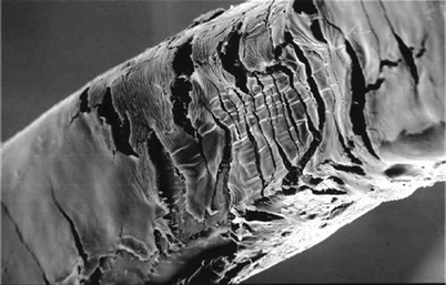 On Application Of Plasmas In Nanotechnologies Springerlink