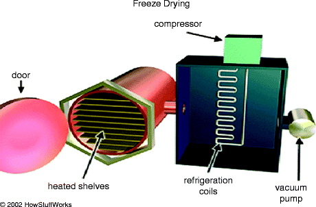 The Beginning Current And Future Of Food Engineering A