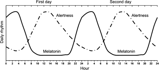 Short Historical Review Of Daylight Utilization By Living