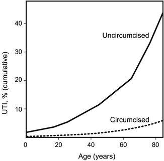 Current Medical Evidence Supports Male Circumcision Springerlink