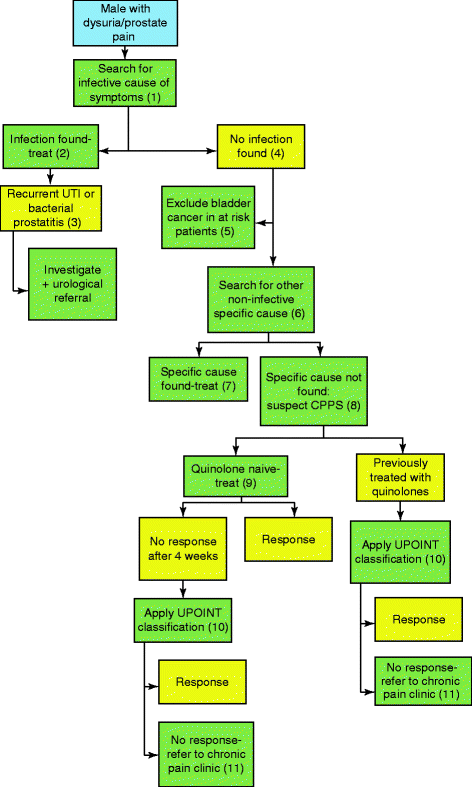 Acute prostatitis causes