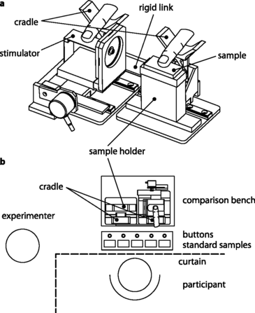 The Spatial Spectrum Of Tangential Skin Displacement Springerlink