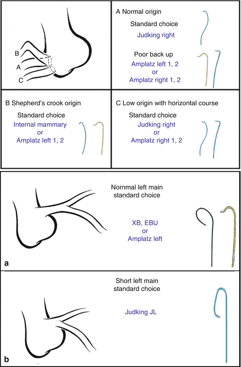 Qualitative And Quantitative Coronary Angiography Springerlink