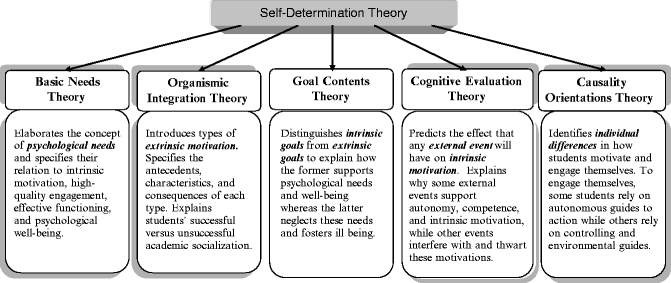 a self determination theory perspective on student engagement self determination theory