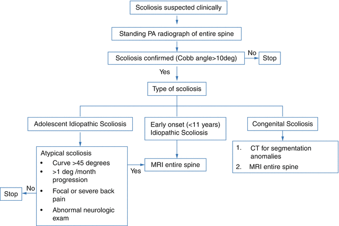 Pediatric Dysraphism And Scoliosis Evidence Based Neuroimaging Springerlink