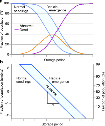 Seed Viability Chart Vegetables