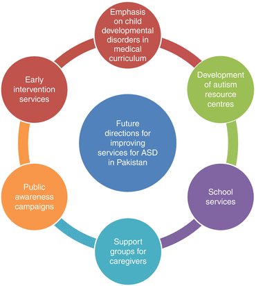 Autism Spectrum Disorders Perspective From Pakistan Springerlink