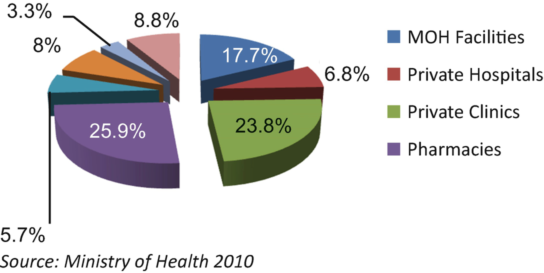 Health System in Egypt SpringerLink
