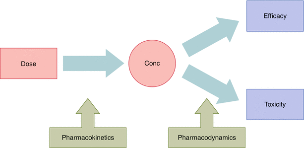 pharmacokinetics and pharmacodynamics of peptide and protein pharmacodynamics