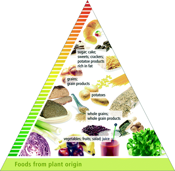 The German Food Pyramid Springerlink