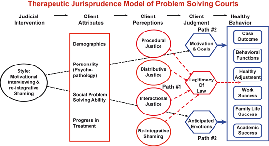 Social Psychology And Problem Solving Courts Judicial Roles