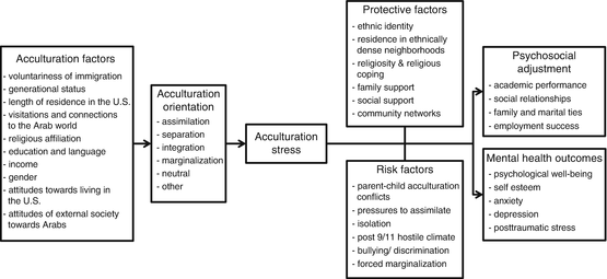 Arab American Acculturation And Ethnic Identity Across The Lifespan Sociodemographic Correlates And Psychological Outcomes Springerlink