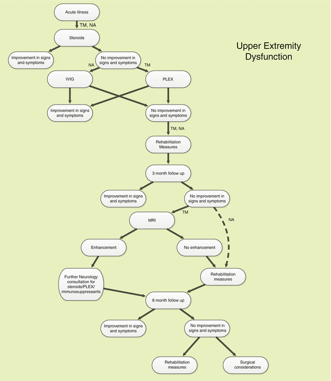 Transverse Myelitis And Neuralgic Amyotrophy Springerlink
