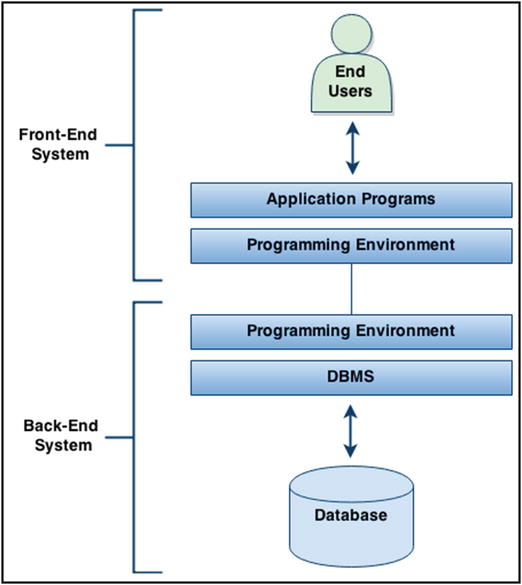 The Database System Environment | SpringerLink