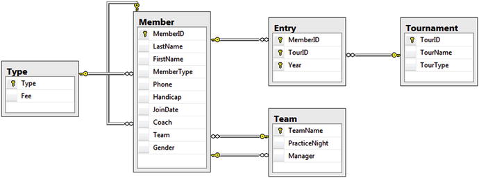 example database springerlink database examples