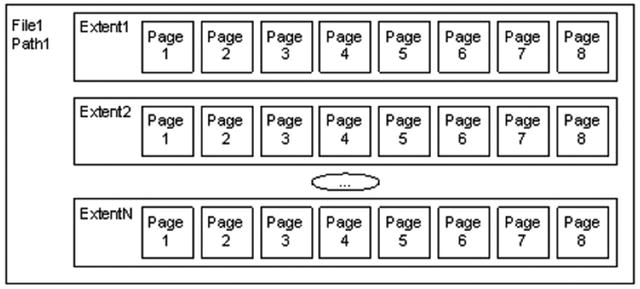 write outline essay educational tour