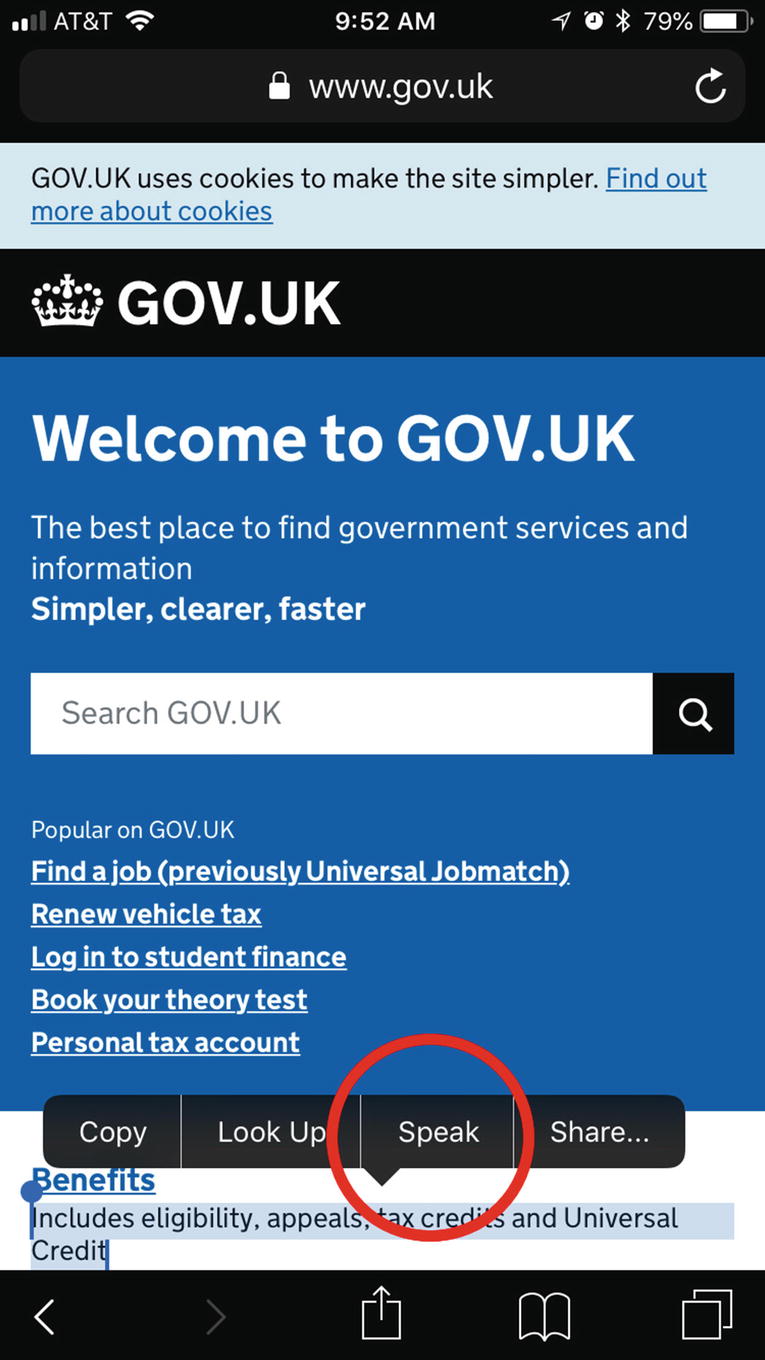 Accessibility Springerlink