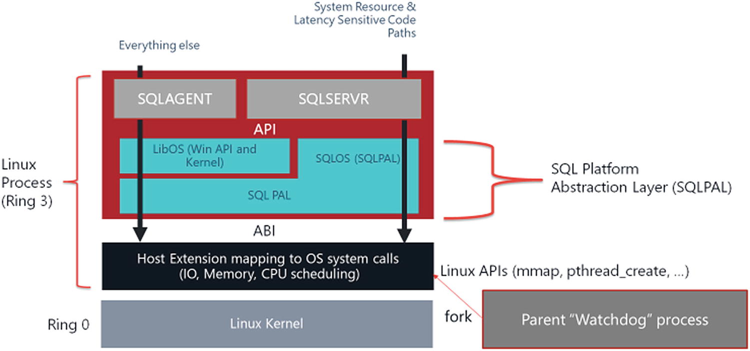 Sql Server 2019 On Linux Springerlink