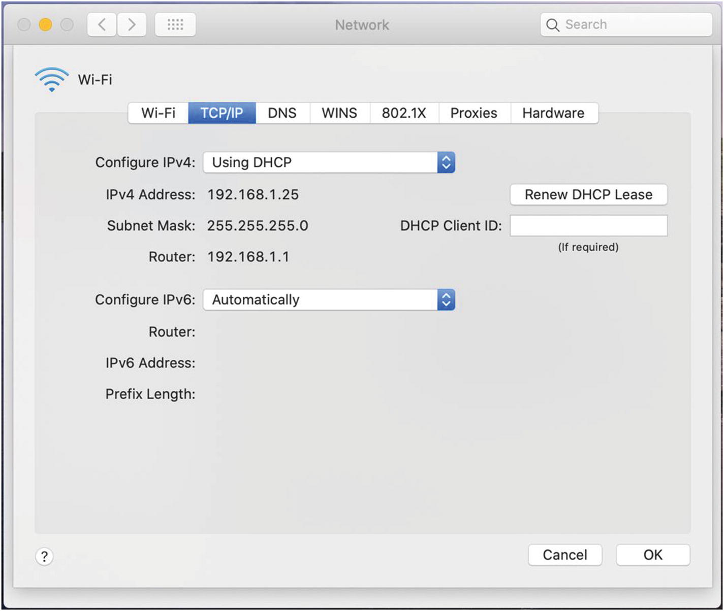 voiceover utility on mac os x reading ip address for website development voiceover utility on mac os x reading ip address for website development