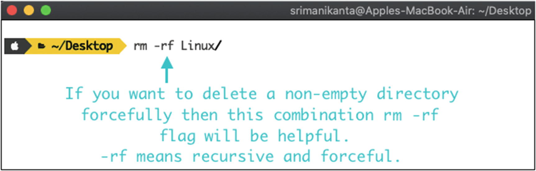Introduction To The Linux Environment Springerlink