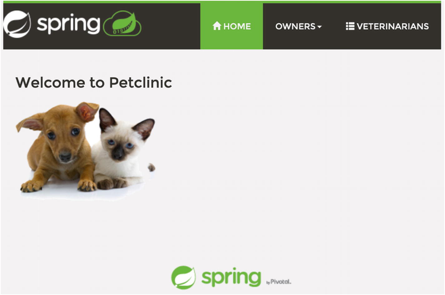 spring petclinic microservices