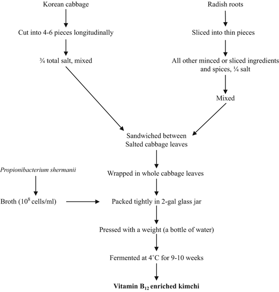 Vitamin B12 Production Flow Chart
