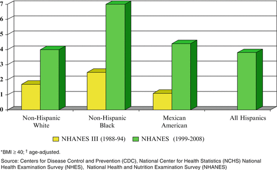 Understanding And Addressing Racial Ethnic Disparities In Obesity Springerlink