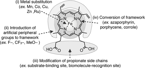 framework protein scaffold framework protein scaffold