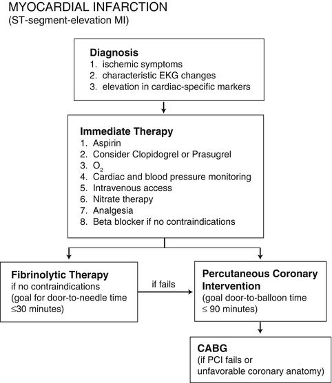 Myocardial Infarction Springerlink