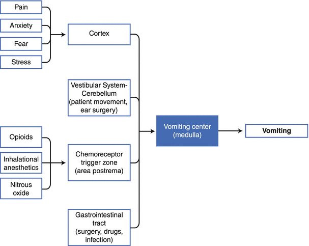 Pulmonary Aspiration And Postoperative Nausea And Vomiting