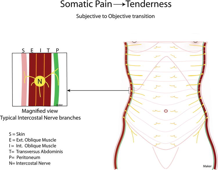 Abdominal Pain | SpringerLink