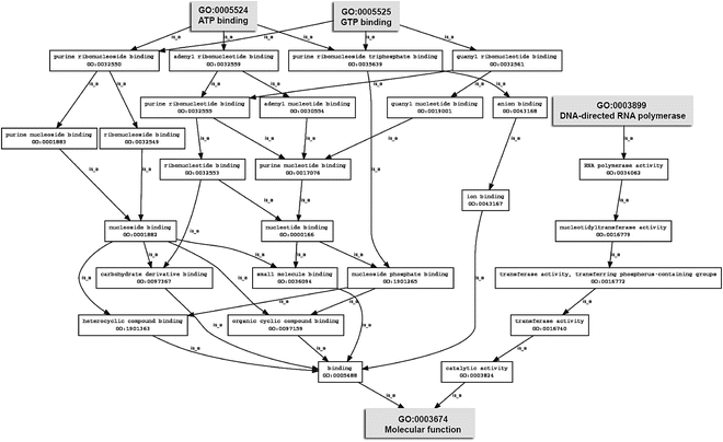 Gene Essentiality Analysis Based on DEG 10, an Updated Database of ...