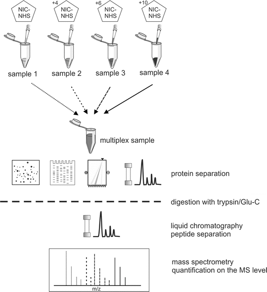 Principles Of Protein Labeling Techniques Springerlink