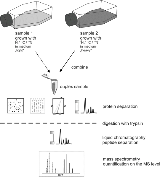 Principles Of Protein Labeling Techniques Springerlink