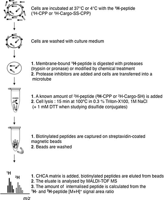 Study Of Cpp Mechanisms By Mass Spectrometry Springerlink