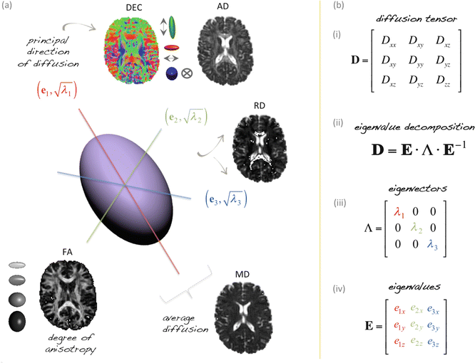 Introduction to Diffusion Tensor Imaging | SpringerLink