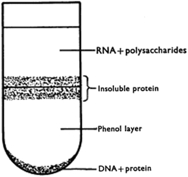 Techniques for Nucleic Acid Purification from Plant, Animal, and ...