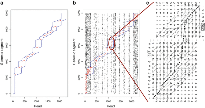 GMAP and GSNAP for Genomic Sequence Alignment: Enhancements to Speed, Accuracy, and 