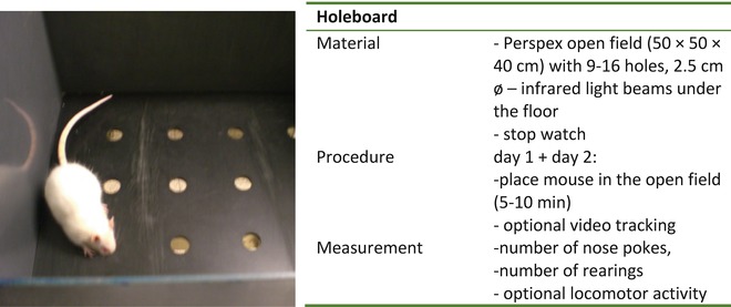 hole board test
