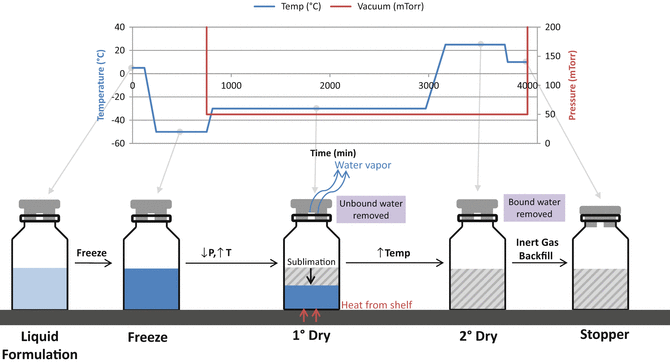 Lyophilization of Adjuvanted Vaccines: Methods for Formulation of a ...