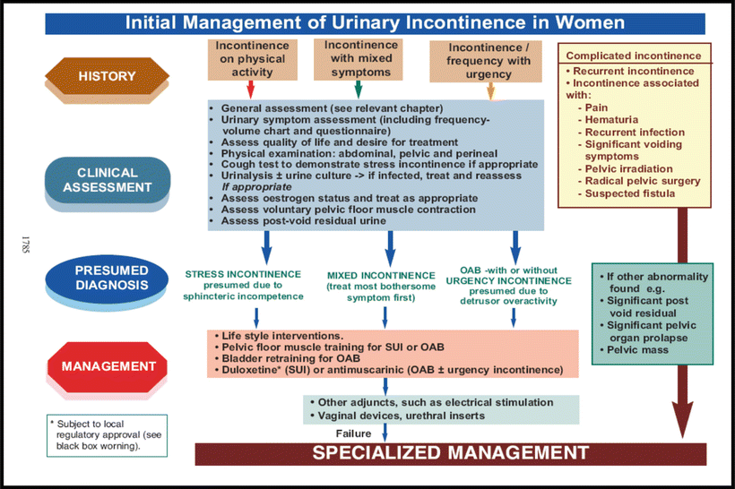 Treatment Options For Stress Urinary Incontinence Springerlink