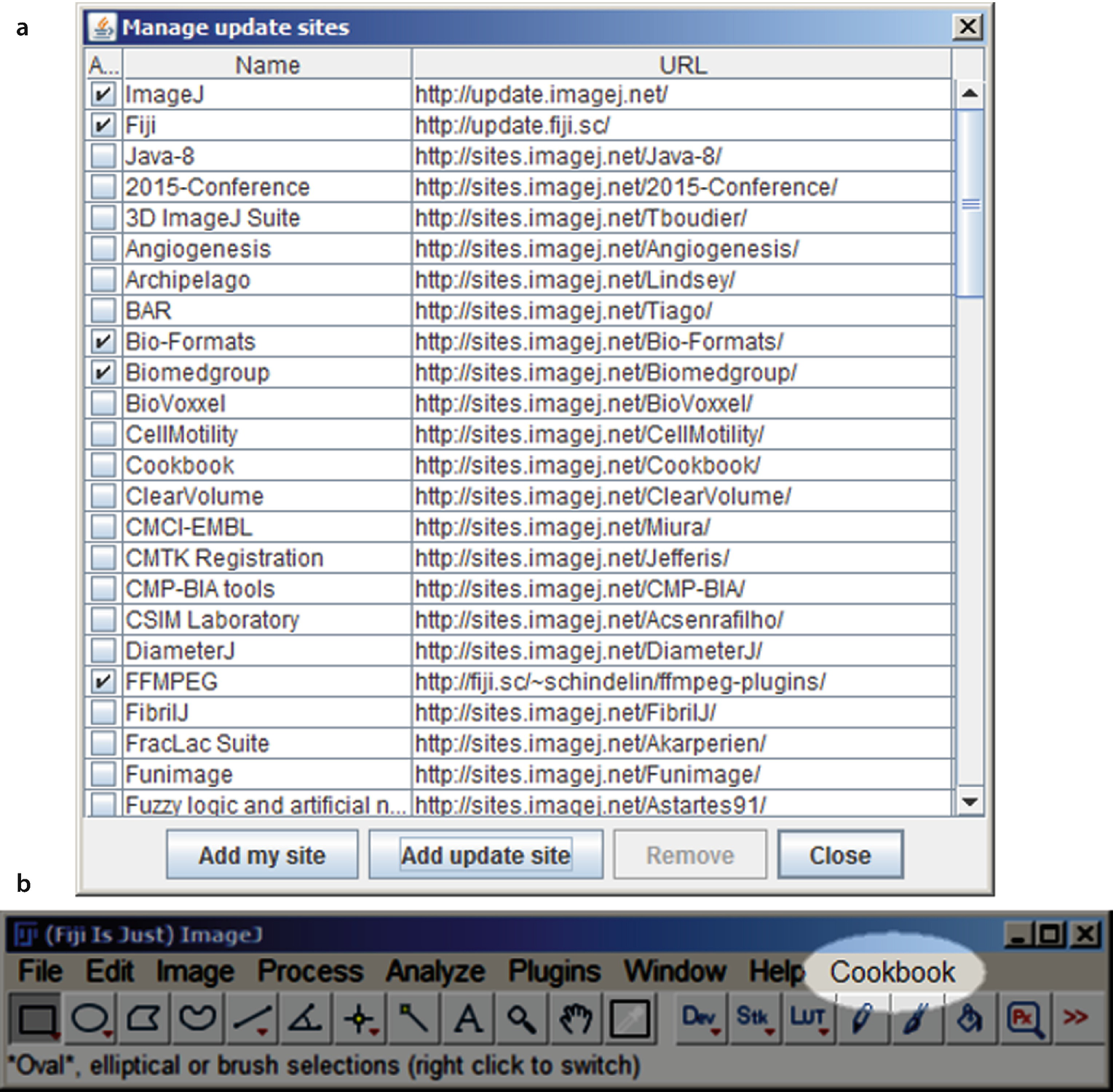 Imagej And Fiji Springerlink