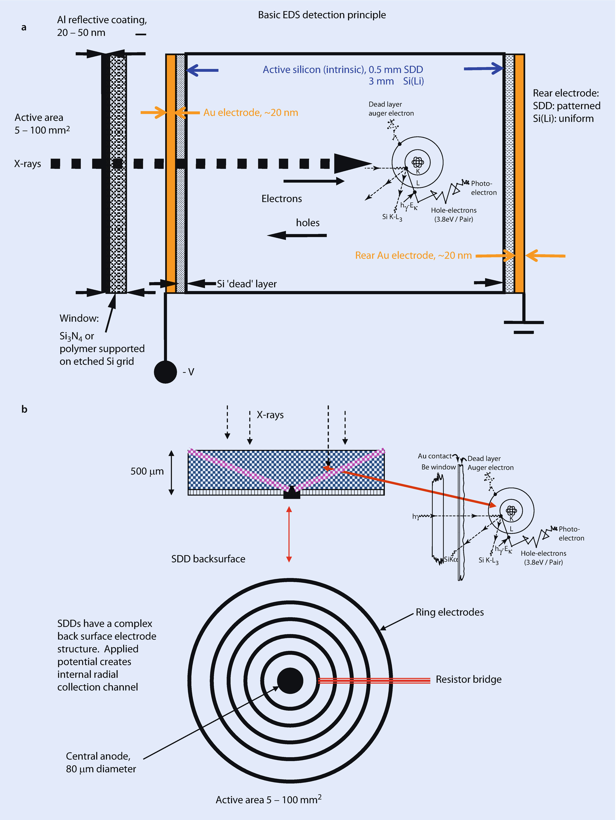 Energy Dispersive Xray Spectrometry Physical Principles and User